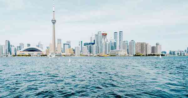 佛跳墙最新版下载v2.